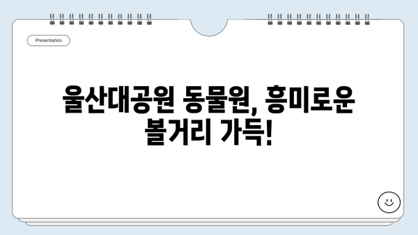 울산대공원 동물원, 가족과 함께 즐기는 특별한 하루 | 울산 가볼만한곳, 아이와 함께, 동물원 추천, 즐길거리