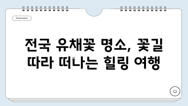 5월 유채꽃 향기 가득한 여행지 추천| 꽃 축제 & 낭만 가득한 여행 코스 | 유채꽃 축제, 봄 여행, 국내 여행, 여행지 추천