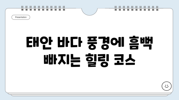 충남 태안, 하루만에 힐링 드라이브! 숨겨진 명소 & 맛집 코스 추천 | 태안 여행, 당일치기, 드라이브 코스, 가볼만한 곳