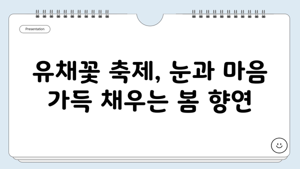 5월 유채꽃 향기 가득한 여행지 추천| 꽃 축제 & 낭만 가득한 여행 코스 | 유채꽃 축제, 봄 여행, 국내 여행, 여행지 추천