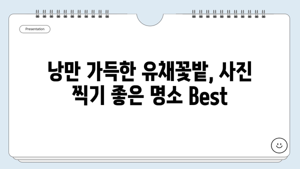 5월 유채꽃 향기 가득한 여행지 추천| 꽃 축제 & 낭만 가득한 여행 코스 | 유채꽃 축제, 봄 여행, 국내 여행, 여행지 추천