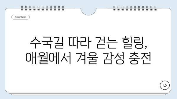 제주도 애월 겨울 여행| 서쪽 해안 드라이브 & 아름다운 수국길 | 제주도 여행, 애월 가볼만한곳, 겨울 여행지 추천