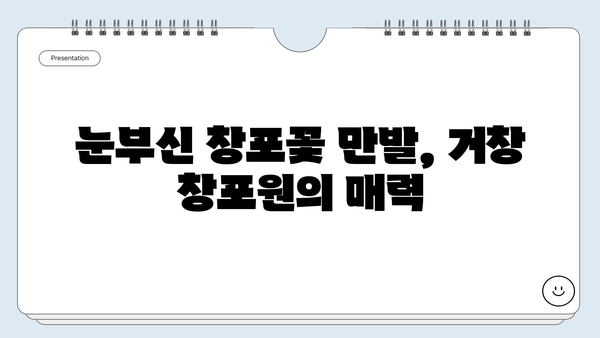 거창 창포원 꽃구경 완벽 가이드| 봄맞이 여행 코스 & 팁 | 창포원, 거창 여행, 봄꽃 축제, 가볼만한곳