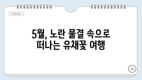 5월 유채꽃 향기 가득한 여행지 추천| 꽃 축제 & 낭만 가득한 여행 코스 | 유채꽃 축제, 봄 여행, 국내 여행, 여행지 추천