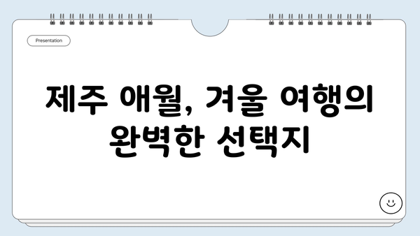 제주도 애월 겨울 여행| 서쪽 해안 드라이브 & 아름다운 수국길 | 제주도 여행, 애월 가볼만한곳, 겨울 여행지 추천