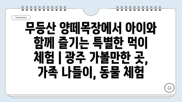 무등산 양떼목장에서 아이와 함께 즐기는 특별한 먹이 체험 | 광주 가볼만한 곳, 가족 나들이, 동물 체험