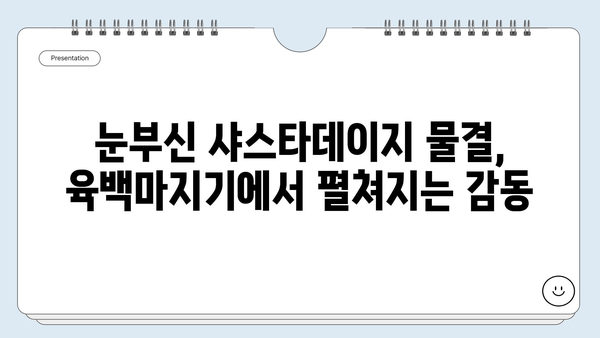 강원도 여행 코스| 평창 청옥산 육백마지기 샤스타데이지 만발 | 5월~6월 꽃구경 명소, 여행 정보