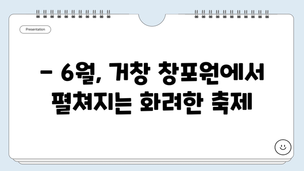 경남 거창 여행, 6월 창포원 꽃구경의 정석 | 거창 가볼만한곳, 창포원 축제, 여름 여행지 추천