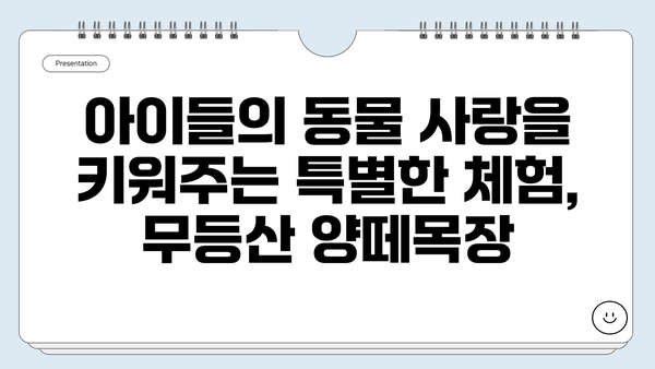 무등산 양떼목장에서 아이와 함께 즐기는 특별한 먹이 체험 | 광주 가볼만한 곳, 가족 나들이, 동물 체험