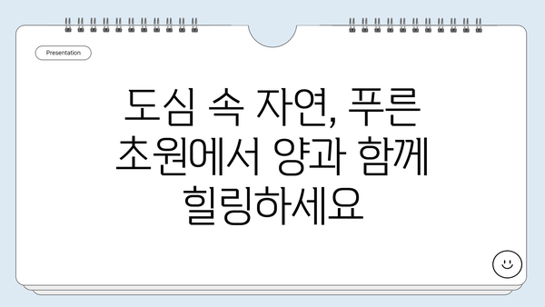 무등산 양떼목장에서 아이와 함께 즐기는 특별한 먹이 체험 | 광주 가볼만한 곳, 가족 나들이, 동물 체험