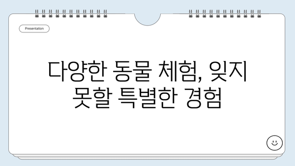 제주도 동물원에서 만나는 신비로운 동물들| 6가지 테마별 추천 코스 | 제주 동물원, 동물 체험, 가족 여행