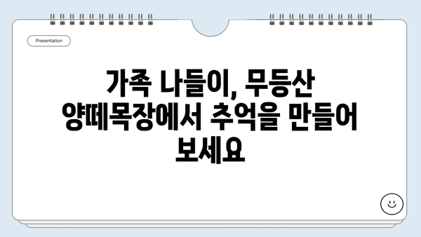 무등산 양떼목장에서 아이와 함께 즐기는 특별한 먹이 체험 | 광주 가볼만한 곳, 가족 나들이, 동물 체험