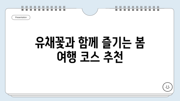 5월 유채꽃 향기 가득한 여행지 추천| 꽃 축제 & 낭만 가득한 여행 코스 | 유채꽃 축제, 봄 여행, 국내 여행, 여행지 추천