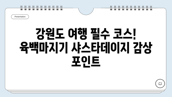 강원도 여행 코스| 평창 청옥산 육백마지기 샤스타데이지 만발 | 5월~6월 꽃구경 명소, 여행 정보