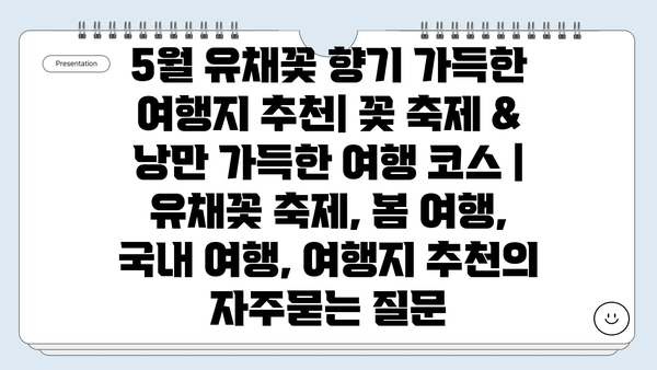 5월 유채꽃 향기 가득한 여행지 추천| 꽃 축제 & 낭만 가득한 여행 코스 | 유채꽃 축제, 봄 여행, 국내 여행, 여행지 추천