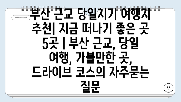 부산 근교 당일치기 여행지 추천| 지금 떠나기 좋은 곳 5곳 | 부산 근교, 당일 여행, 가볼만한 곳, 드라이브 코스