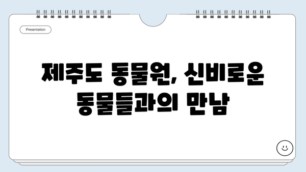 제주도 동물원에서 만나는 신비로운 동물들| 6가지 테마별 추천 코스 | 제주 동물원, 동물 체험, 가족 여행