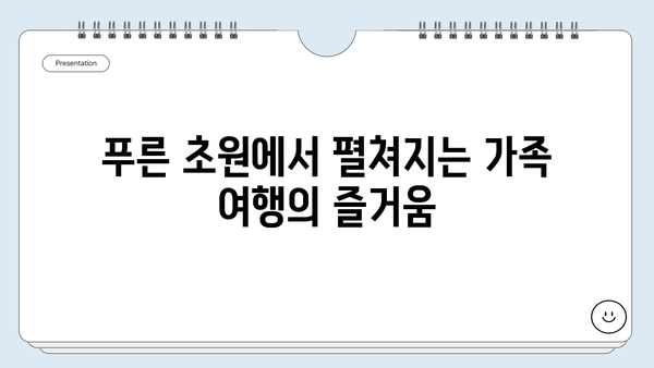 경남 양떼목장에서 아이와 함께 즐기는 특별한 체험| 양과 교감하며 먹이 주기 | 양떼목장, 가족여행, 아이와 함께