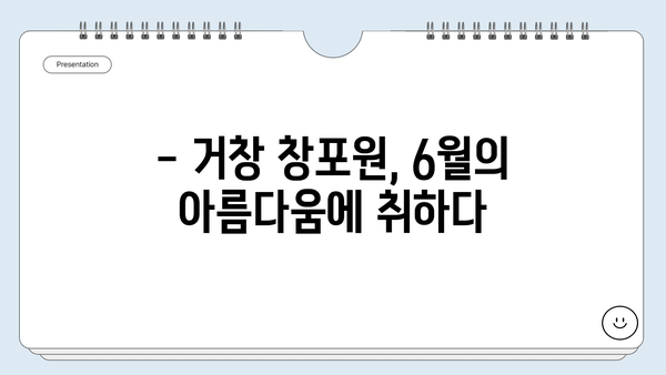 경남 거창 여행, 6월 창포원 꽃구경의 정석 | 거창 가볼만한곳, 창포원 축제, 여름 여행지 추천