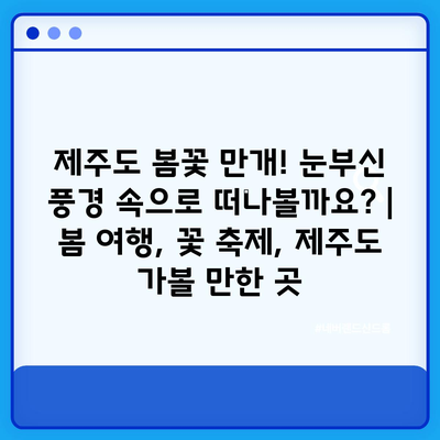 제주도 봄꽃 만개! 눈부신 풍경 속으로 떠나볼까요? | 봄 여행, 꽃 축제, 제주도 가볼 만한 곳