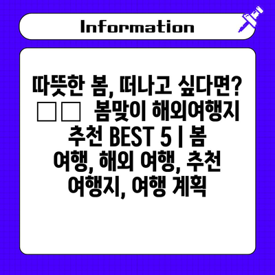 따뜻한 봄, 떠나고 싶다면? ✈️  봄맞이 해외여행지 추천 BEST 5 | 봄 여행, 해외 여행, 추천 여행지, 여행 계획